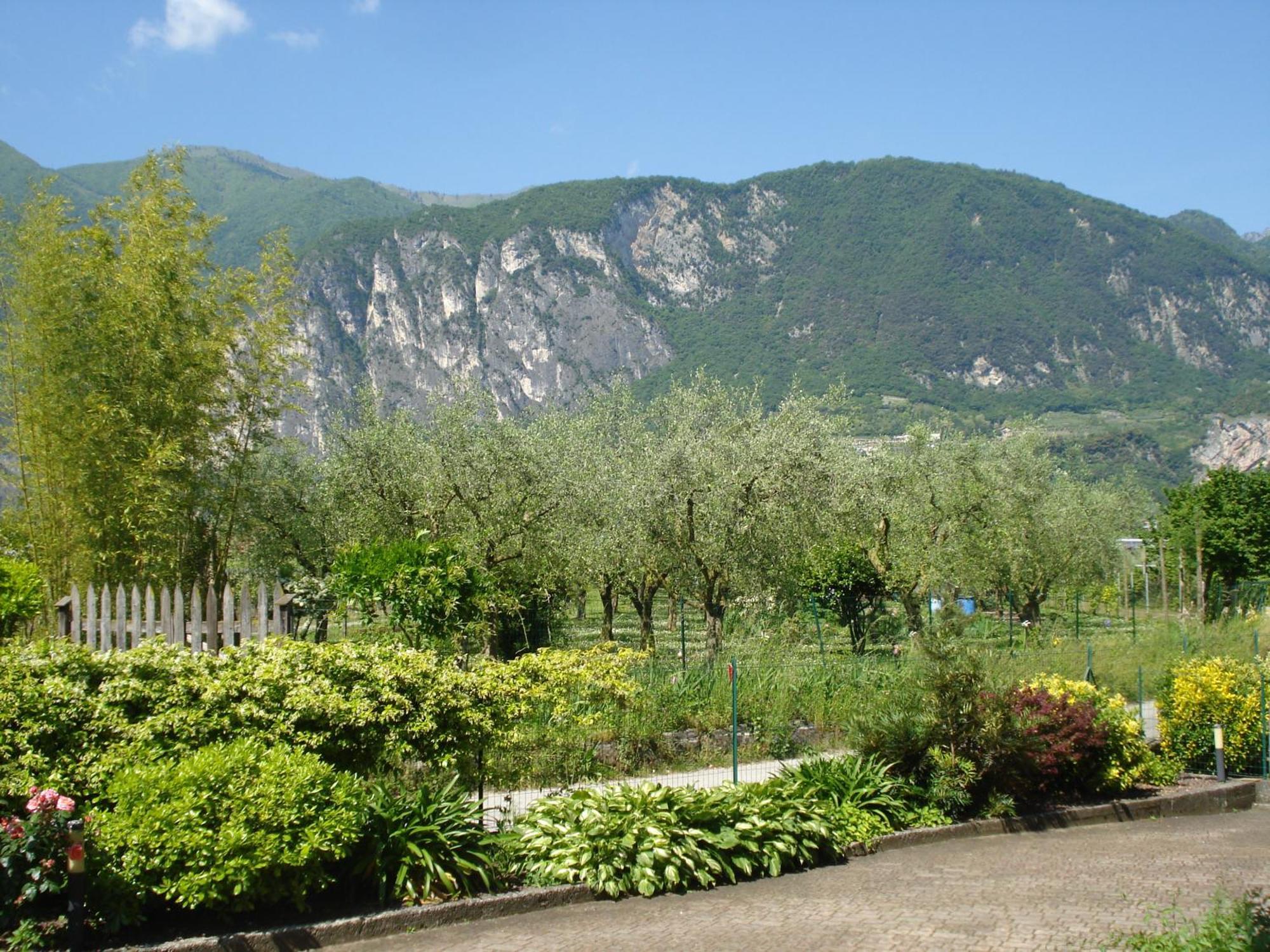 Lidia Apartment Riva del Garda Exterior foto